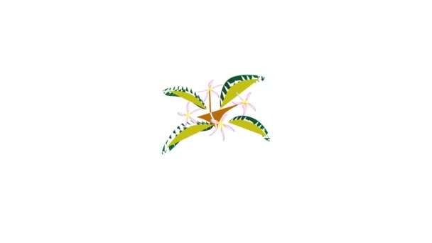 Bloemen plumeria pictogram animatie — Stockvideo