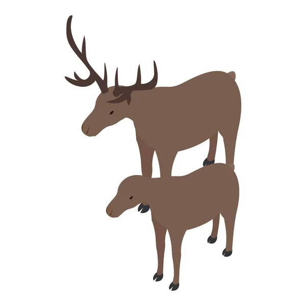 Switzerland wildlife icon isometric vector. Pair of wildl brown noble deer icon — Stock Vector