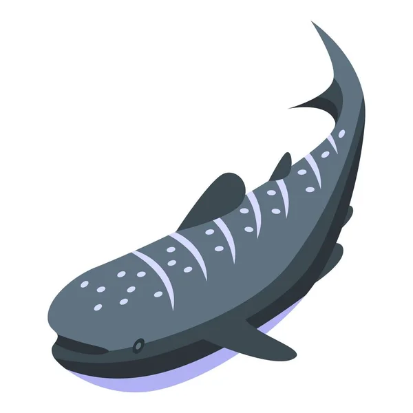 Icono de tiburón ballena vector isométrico. Peces del océano — Vector de stock