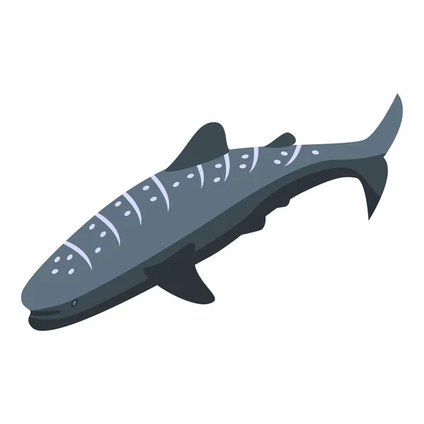 Ícone animal de tubarão-baleia vetor isométrico. Mar de peixe — Vetor de Stock