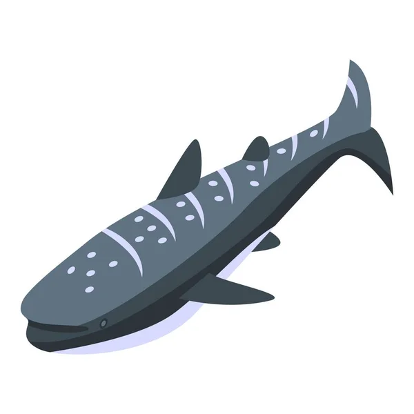 Ícone de tubarão-baleia-recife vetor isométrico. Peixes marinhos — Vetor de Stock