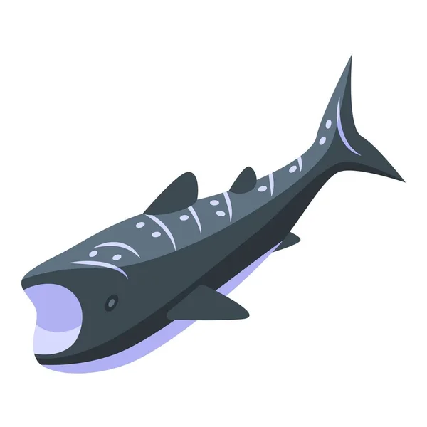 Whale shark animal icon isometric vector. Fish sea — Stock Vector