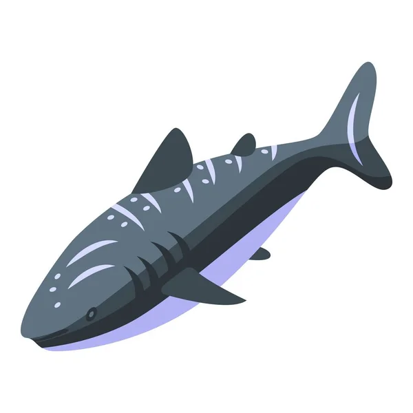 Aquarium whale shark icon isometric vector. Marine species — Stock Vector