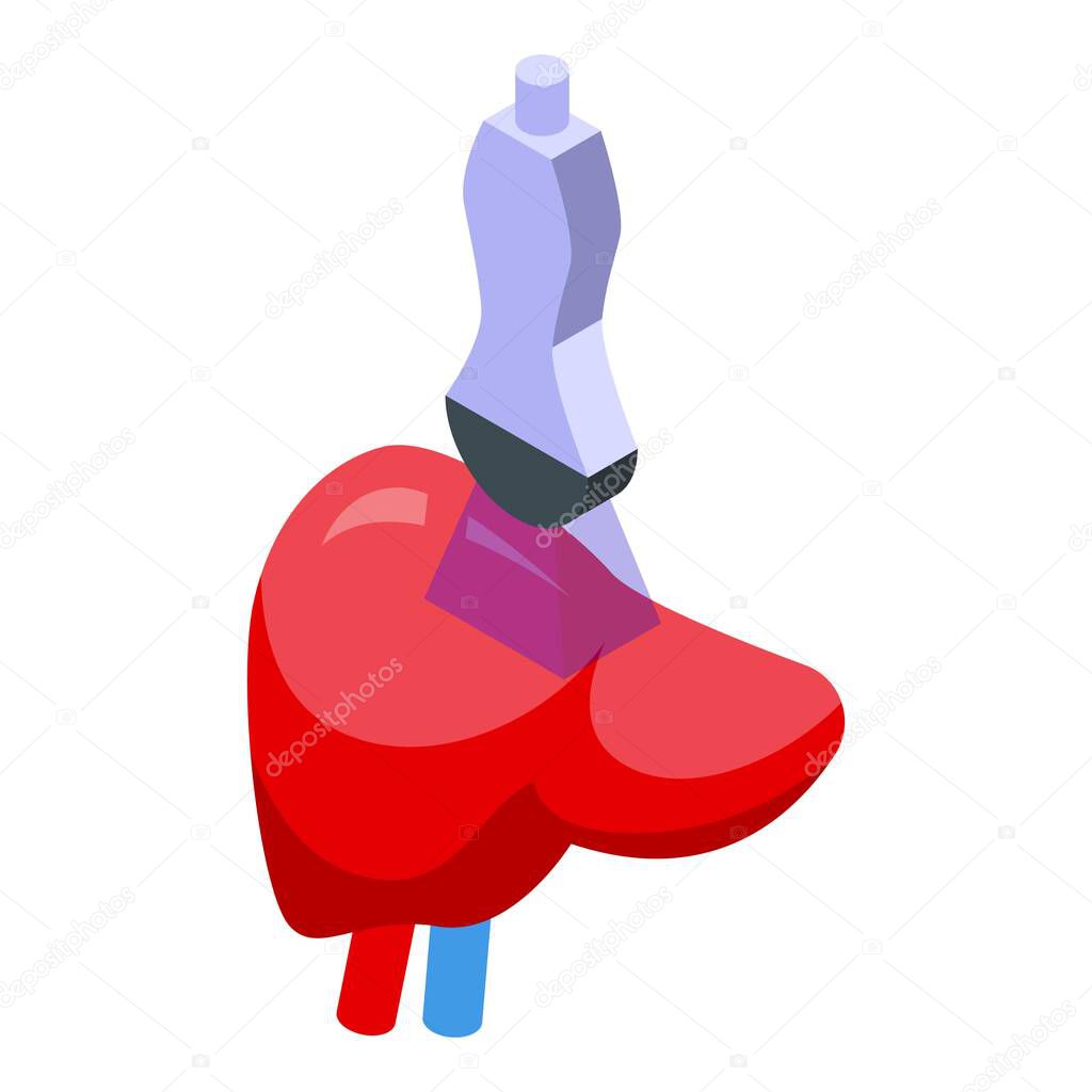 Liver examination icon isometric vector. Medical health