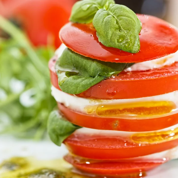 Mozzarella fresco, salada de tomate e manjericão close-up — Fotografia de Stock