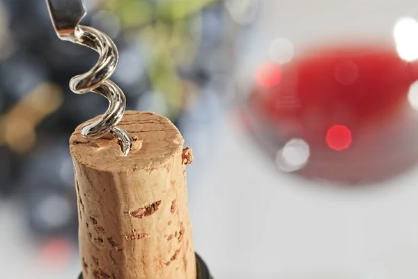 Degustación de vino — Foto de Stock