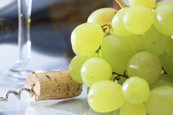 Degustación de vino — Foto de Stock