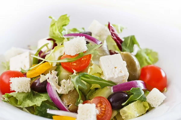 Fräsch sallad — Stockfoto