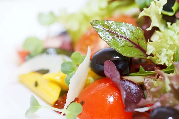 Fräsch sallad — Stockfoto