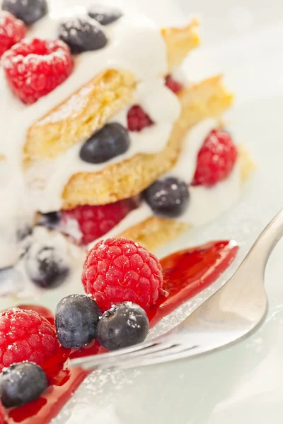 Ciasto ze świeżymi owocami — Zdjęcie stockowe