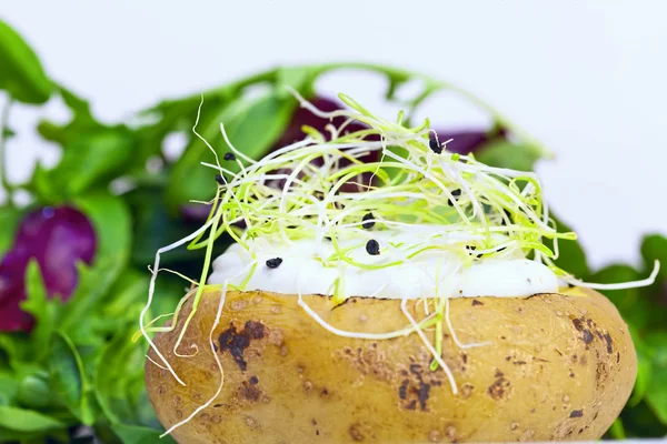 Pomme de terre cuite au four remplie de crème sure et d'oignon cresson — Photo