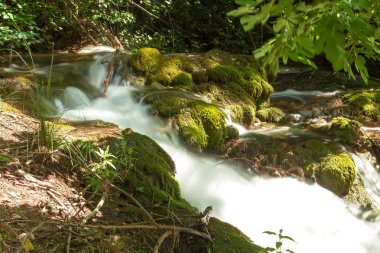 şelaleler krka Nehri üzerinde. milli park, Dalmaçya, Hırvatistan