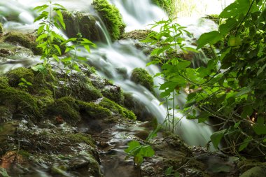 şelaleler krka Nehri üzerinde. milli park, Dalmaçya, Hırvatistan
