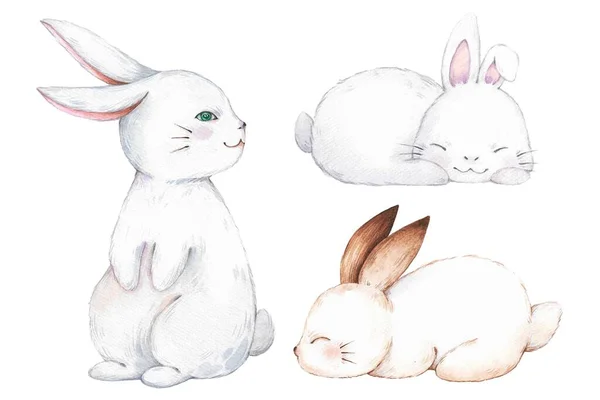 一套复活节兔子水彩画 手绘水彩画 — 图库照片