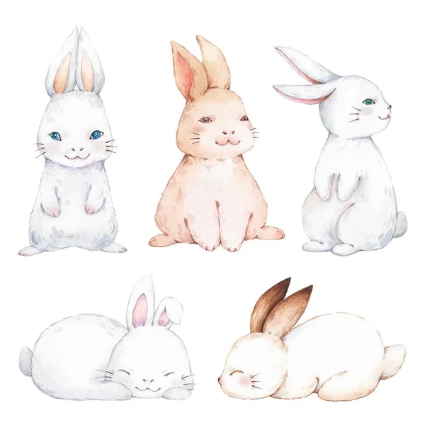 Set Conigli Pasquali Acquerello Illustrazioni Acquerello Disegnate Mano — Foto Stock