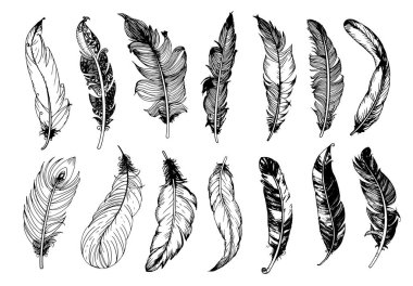 El yapımı klasik tüy seti. Vektör illüstrasyonu.