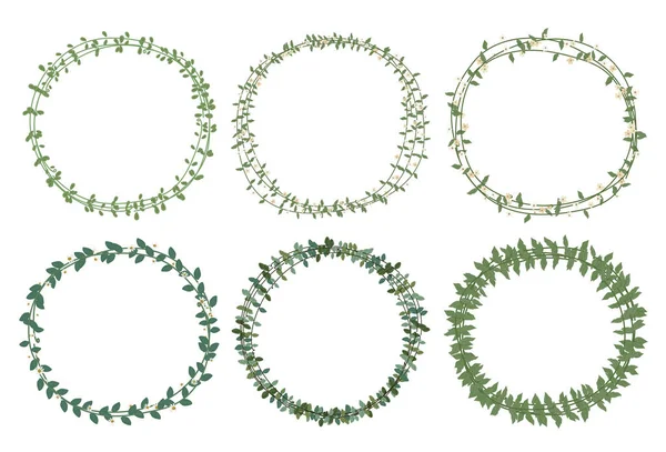 Set Beautiful Flower Wreath Floral Frames Set Vector Illustration — Stock Vector