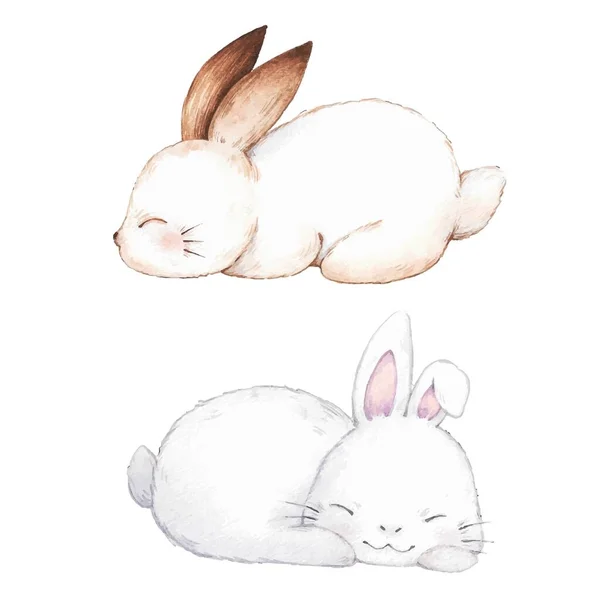 Cute Watercolor Rabbit Design Vector Illustration — Stock Vector