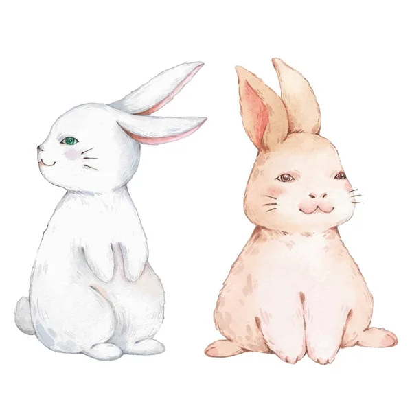 Schattig Aquarel Konijn Voor Ontwerp Vectorillustratie — Stockvector