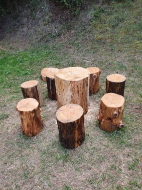 Bulgaristan 'daki bir halk parkının yeşil çayır üzerindeki ahşap boş piknik masası.