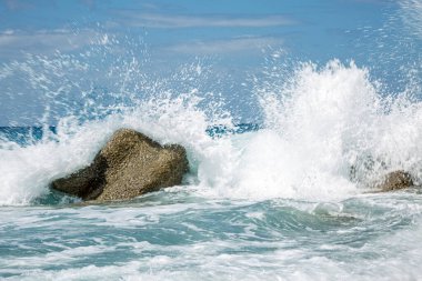 Yüksek dalga kıyı şeridi buzlu breaking.