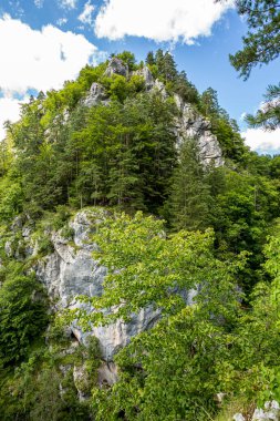 Dağlar, Avusturya 'daki mavi gökyüzüne karşı yemyeşil ağaçlar ve çalılarla kaplı. Açık havada kayaların fotoğrafı..