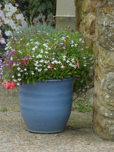 tencerede veranda üzerinde çiçekler