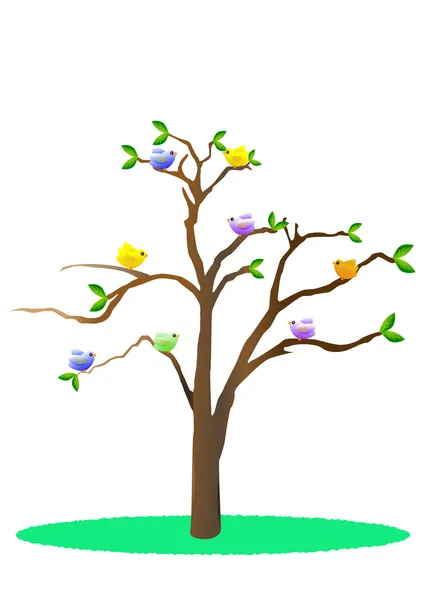 Aves na árvore — Fotografia de Stock