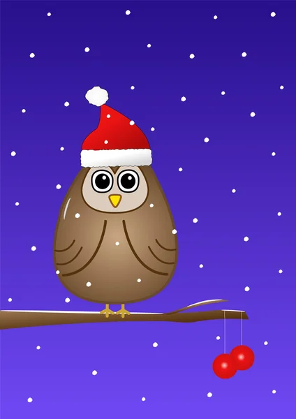 Owl at Christmas — Stock Photo, Image