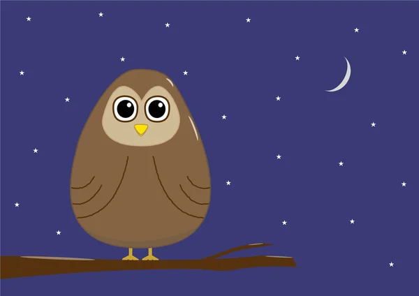 Búho por la noche — Vector de stock