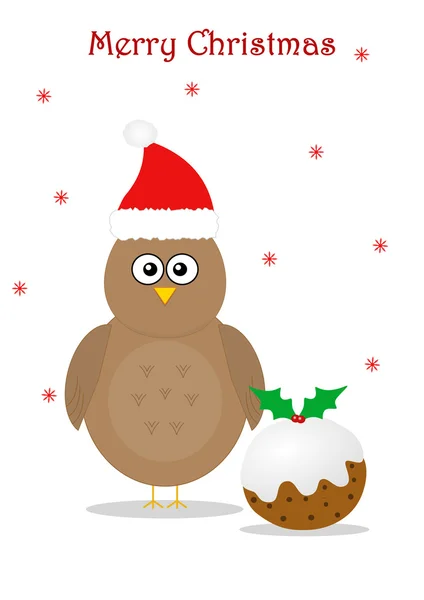 Navidad con pájaro y pudín — Foto de Stock