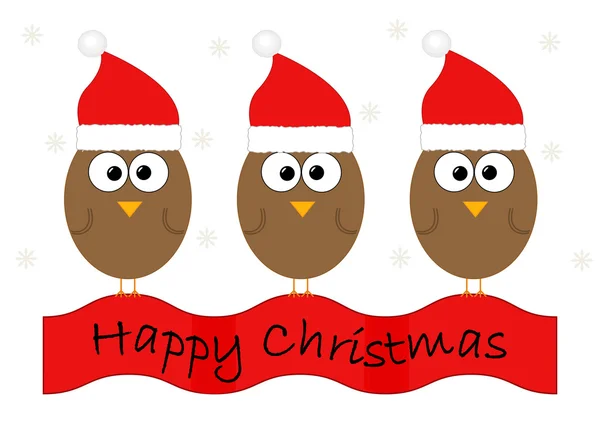 Christmas design with birds — Stock Vector