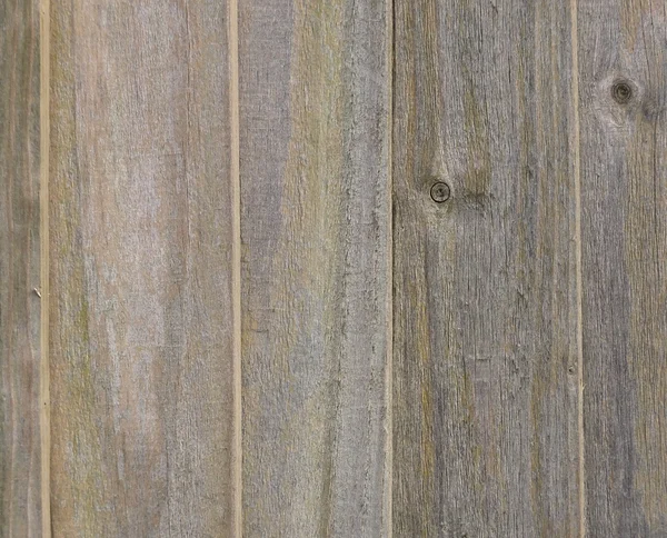 Achtergrond van het houten paneel — Stockfoto