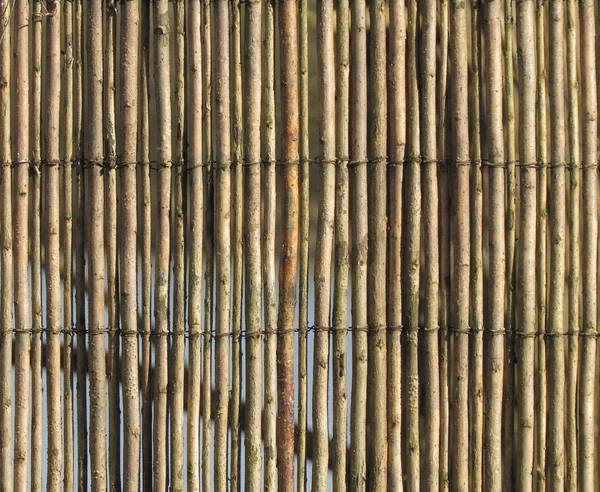Bambusz kerítés háttér — Stock Fotó