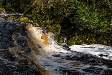 Karelia 'daki Kulismayoki nehrindeki Yukankoski şelalesinin panoramik manzarası. Kuzey Ladoga bölgesinde Yukankoski 'nin en yüksek şelalesinin güzel manzarası. Karelya 'daki Beyaz Köprüler' in sonbahar manzarası.