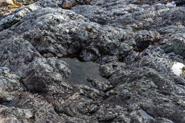 Antik Girvas yanardağının sonbahar manzarası. Rusya 'nın Karelia kentindeki en eski volkan krateri Girvas' ın panoramik görüntüsü.