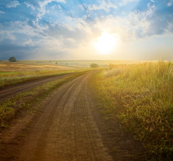 Summer landscape — Stock Photo, Image