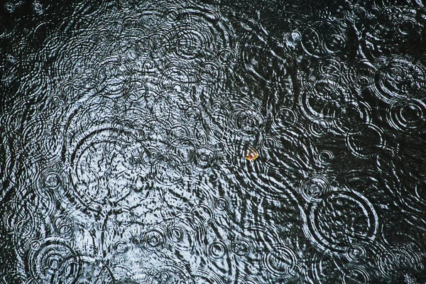 Gotas de lluvia —  Fotos de Stock