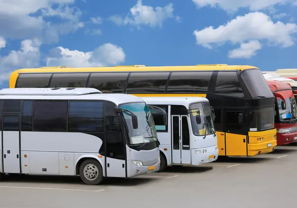 Bussen op de parkeerplaats Stockfoto