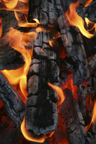 Vesele hoří dřevo — Stock fotografie
