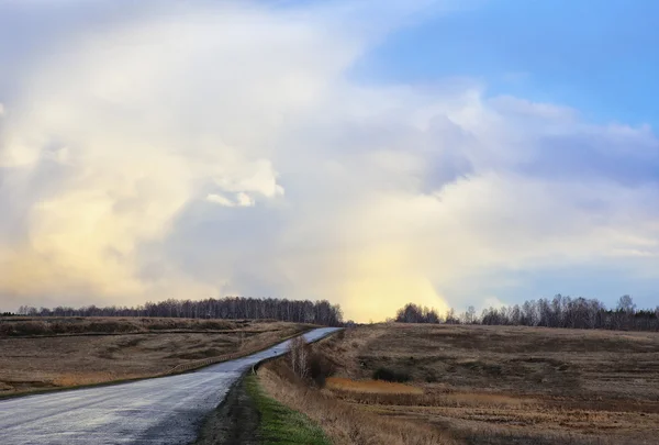 Landschap met weg tegen de heldere hemel — Stockfoto