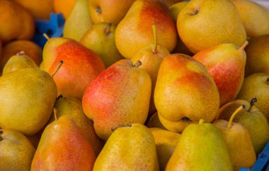 Plastik bir kutuda taze armutlar.