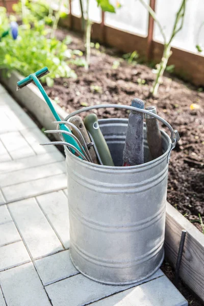 Gartengeräte Einem Metalleimer Einem Gewächshaus — Stockfoto