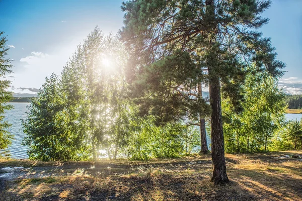 Bellissimo Tramonto Sulla Riva Lago Forestale Dopo Pioggia — Foto Stock