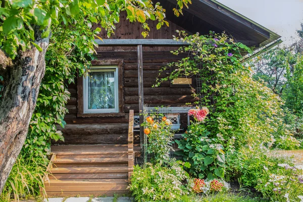Beautiful Wooden Log House Overgrown Greenery Close — Stock Photo, Image