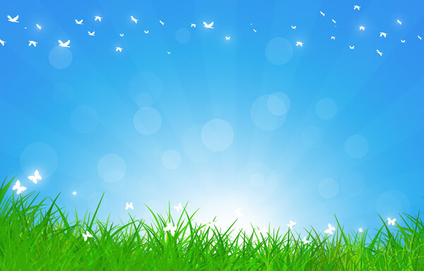 Beautiful Summer Day Outdoor