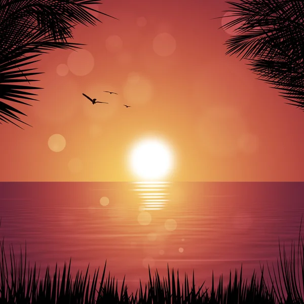 Tropical Sunset — Stock Photo, Image