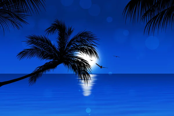 Blue Tropical Sunset — Stock Photo, Image