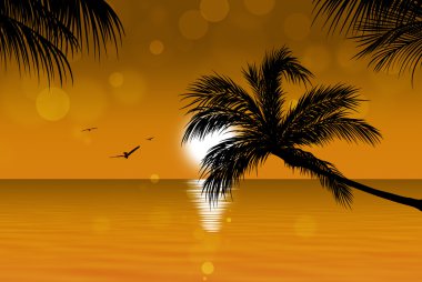 Altın tropikal günbatımı