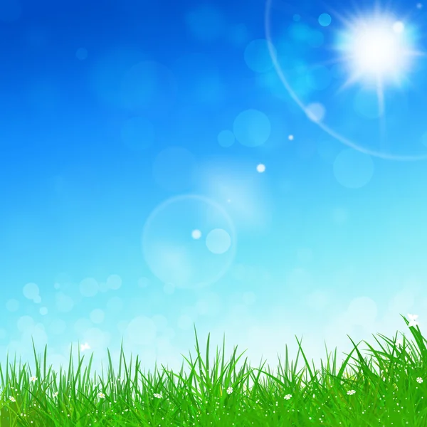 Spring Blue Background — Stock Photo, Image